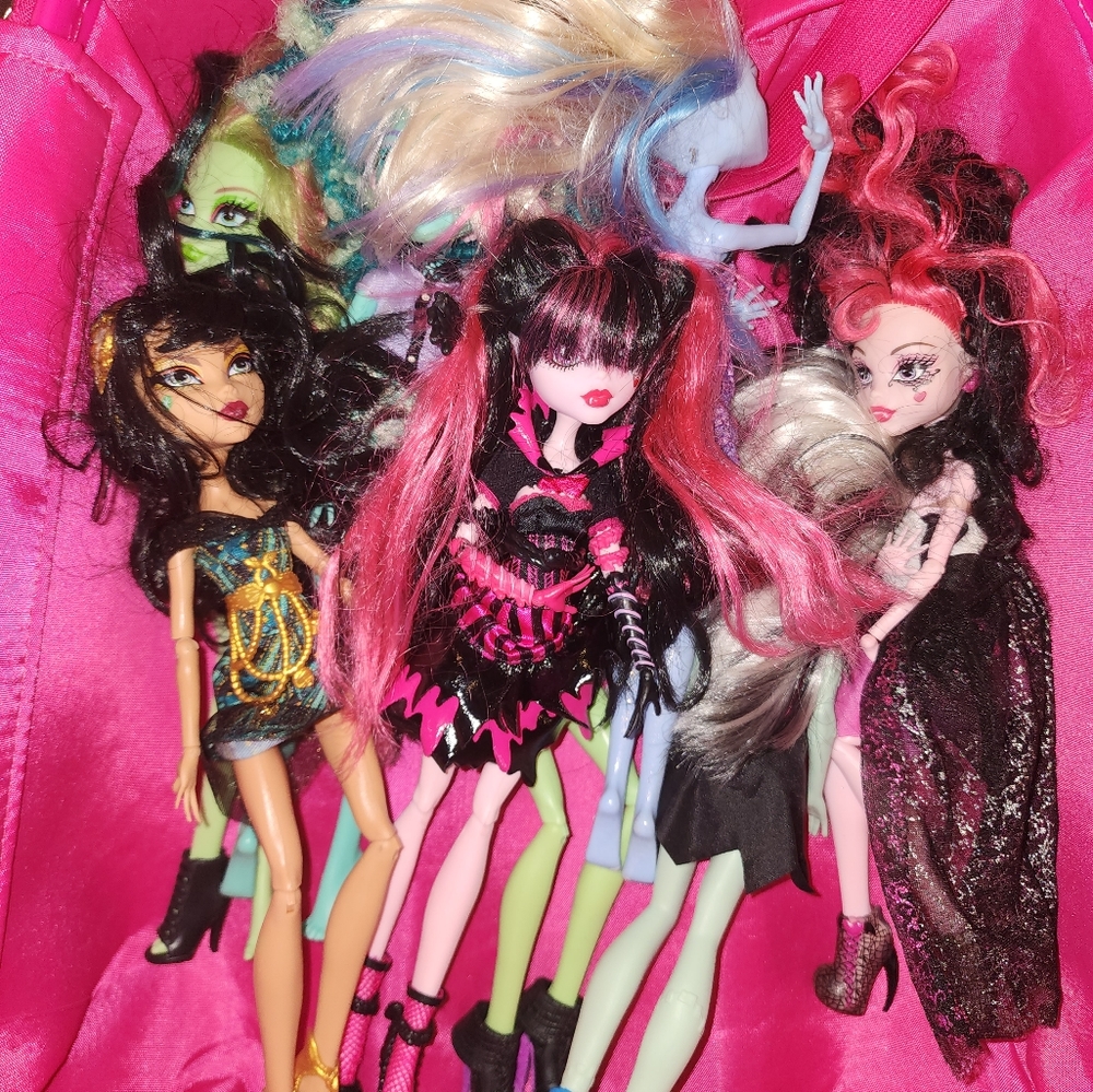 Monster high Doll bundle